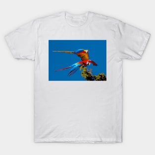 Macaws in flight T-Shirt
